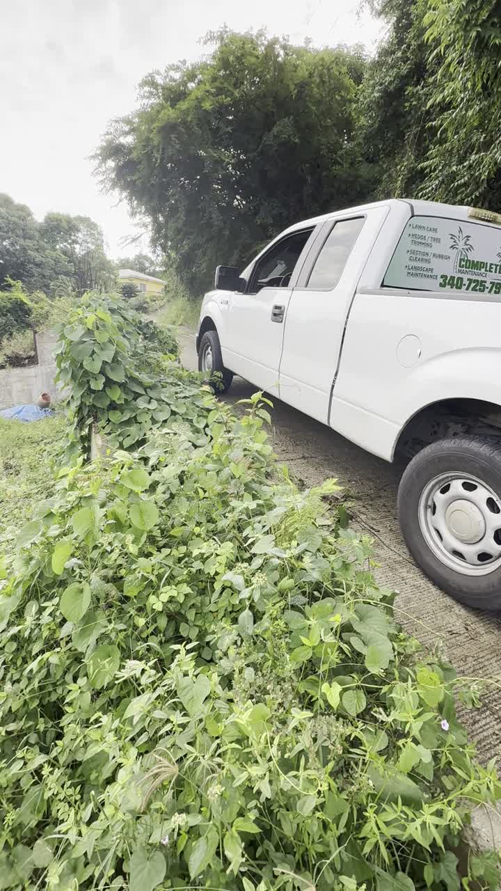 Landscaping in St. Thomas & St. John
