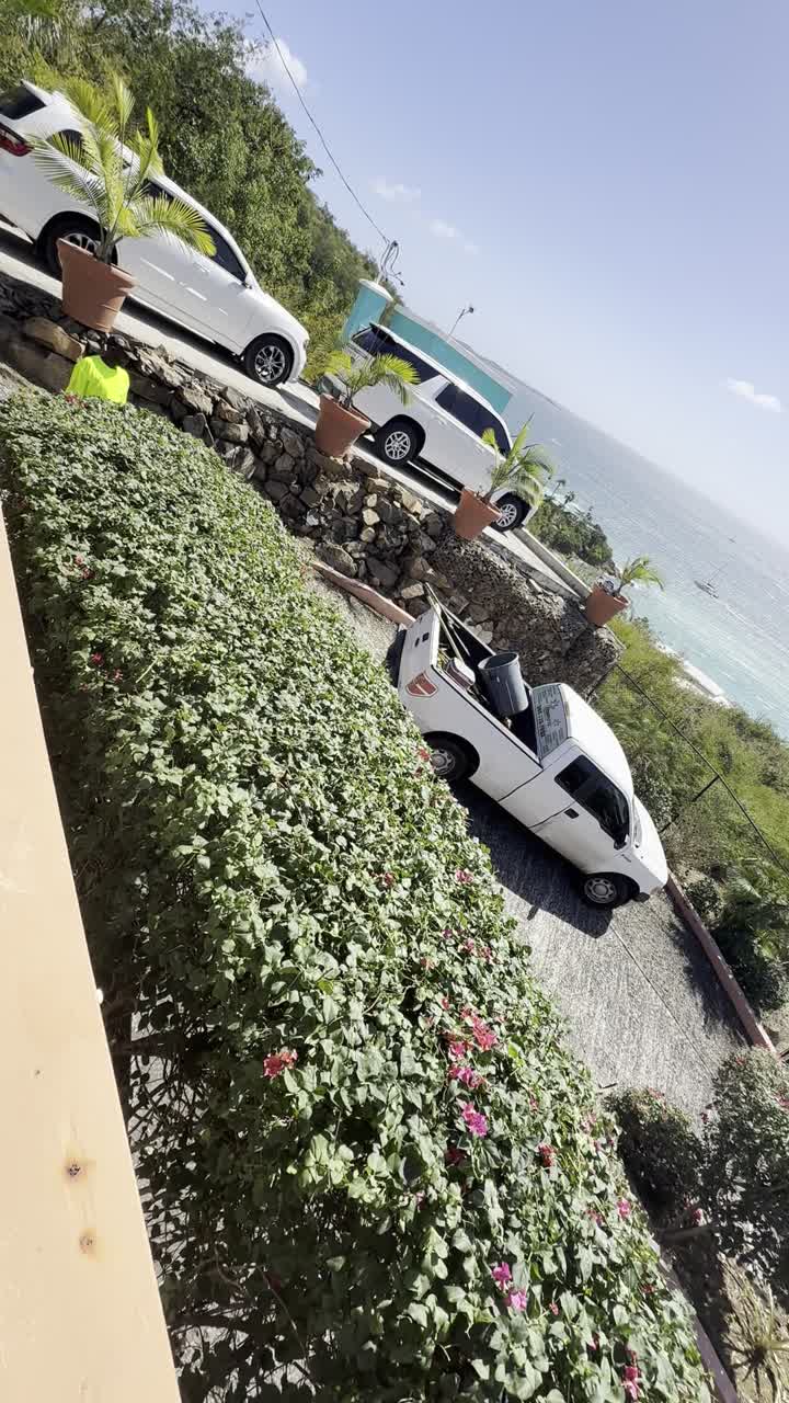 Landscaping in St. Thomas & St. John