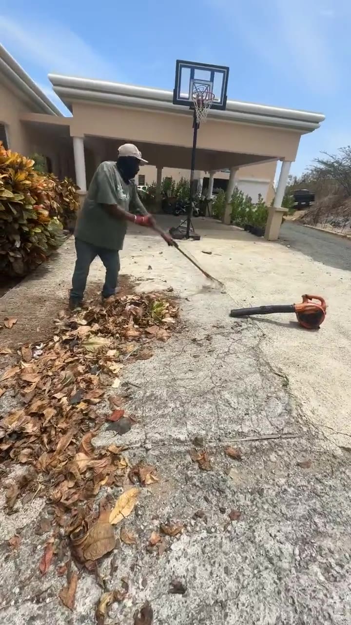 Landscaping in St. Thomas & St. John
