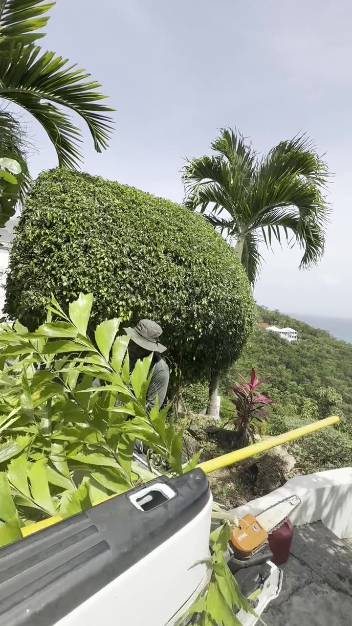 Landscaping in St. Thomas & St. John