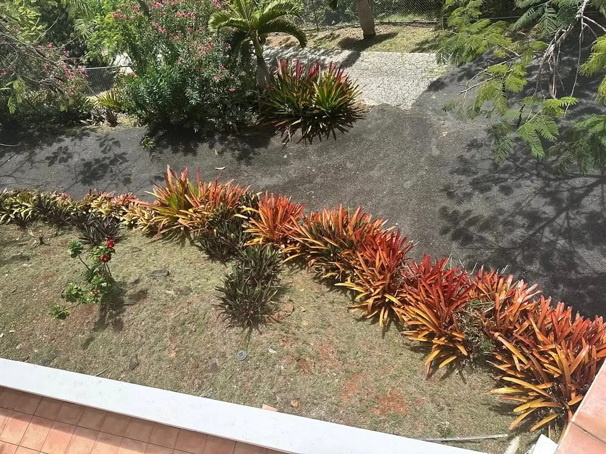 Landscaping by Complete Maintenance Solutions in St. Thomas